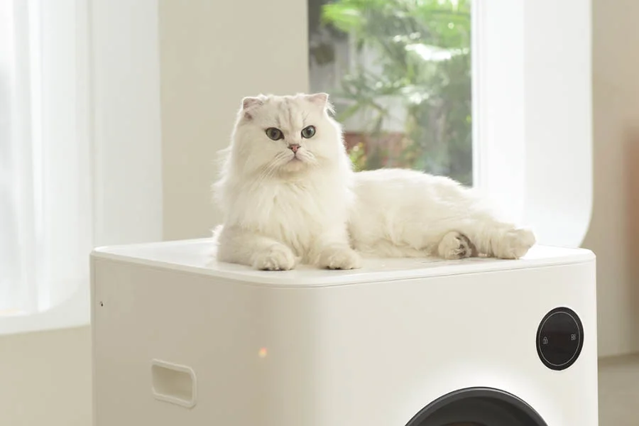 electric cat litter boxes