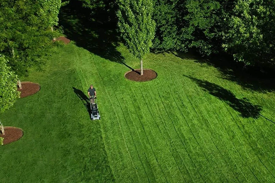 the best electric mower